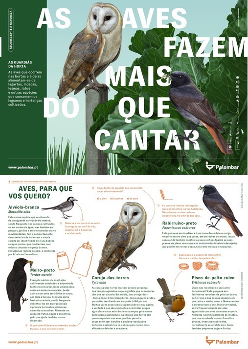 Aves da horta