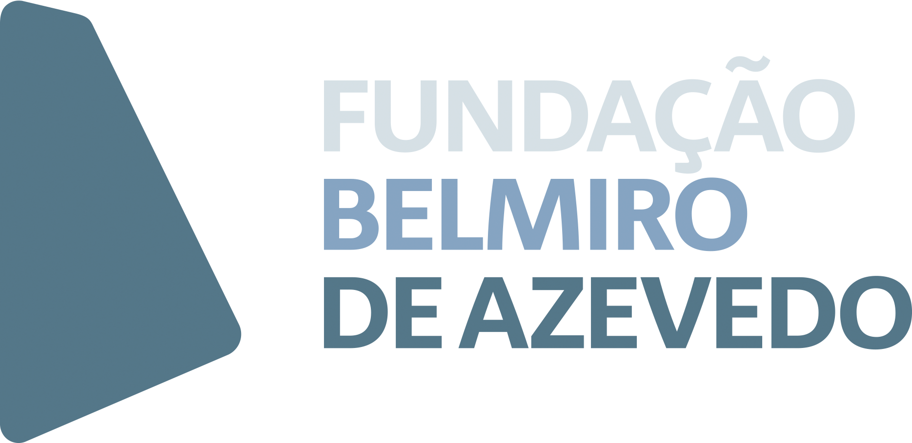 Funda��o Belmiro de Azevedo