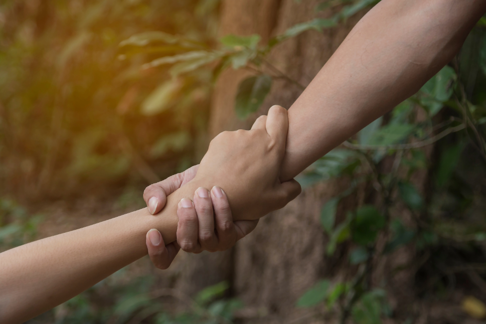 PROGRAMA DE VOLUNTARIADO