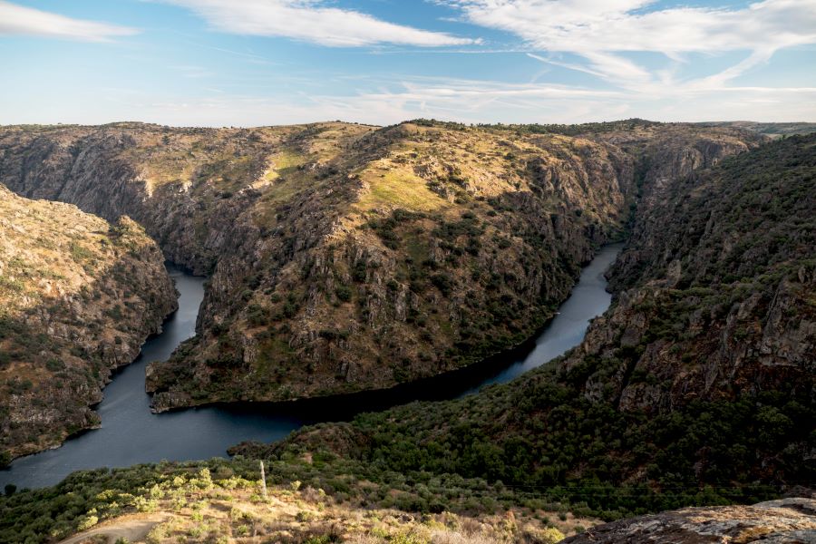 Cogestão dos parques naturais do Douro Internacional e de Montesinho