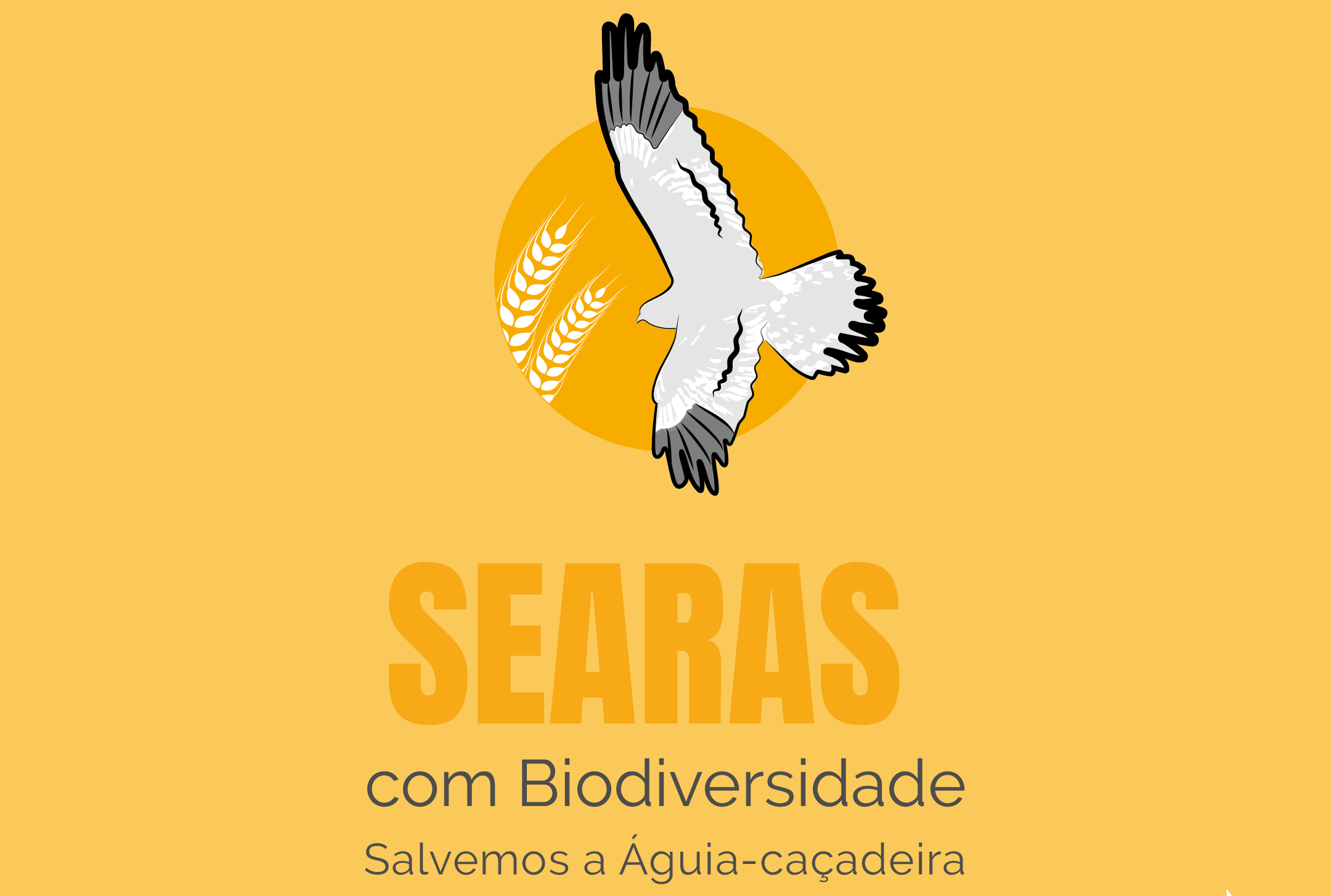 Searas com Biodiversidade: Salvemos a águia-caçadeira